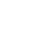 夏期講習 Summer Seminar